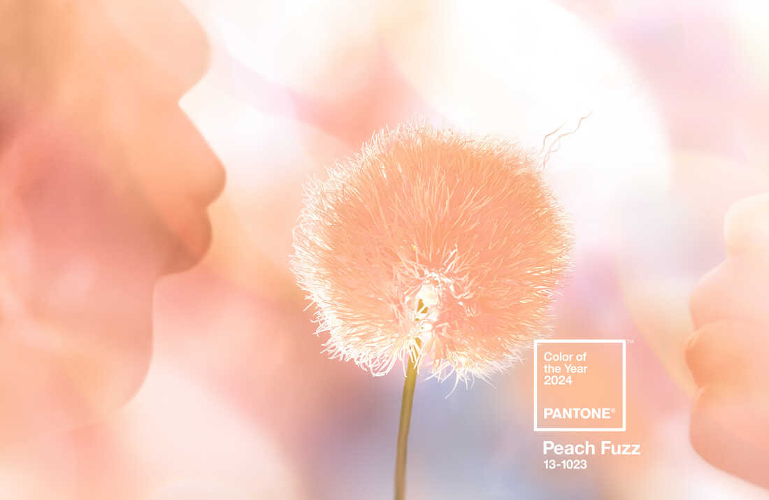 Peach Fuzz Hair Colour Trends Based on Pantone’s 2024 Colour Of The Year - Bangstyle