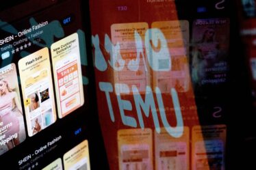 Temu Extends Lead Over Shein in US as Shoppers Embrace a Bargain