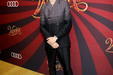 Timothée Chalamet Wore Prada To The 'Wonka' Canadian Fan Screening