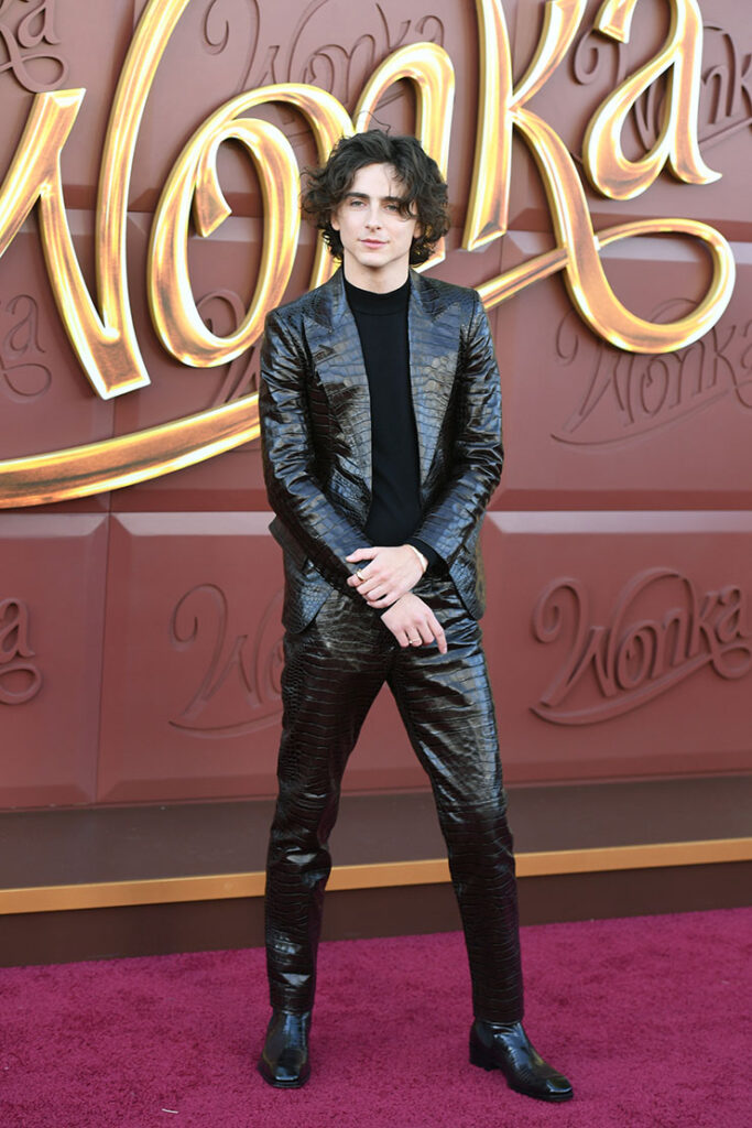 Timothée Chalamet Wore Tom Ford To The 'Wonka' LA Premiere