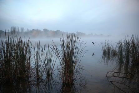 A misty morning on Canberra’s Lake Burley Griffin