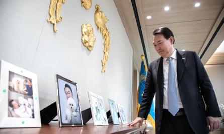 The South Korean president, Yoon Seok-yeol looks at the photos of him and his dogs in his office.