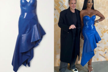 Kenya Moore's Alexander McQueen Strapless Asymmetric Leather Dress