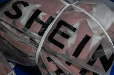 Shein Files With Chinese Regulator for Planned US Float