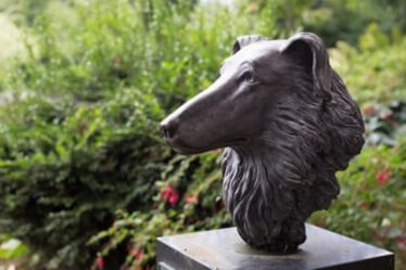 A statue honouring Bobbie the Wonder Dog, at the Oregon Garden in Silverton, Oregon.