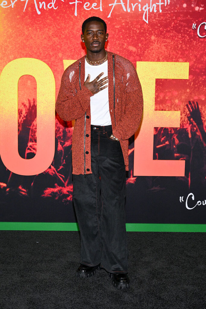 Damson Idris attends the 'Bob Marley: One Love' LA Premiere