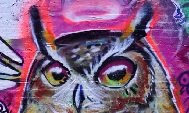 Owl mural