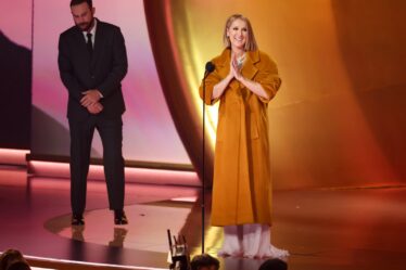 Celine Dion Just Made a Surprise Appearance at the Grammys and It Made the Night