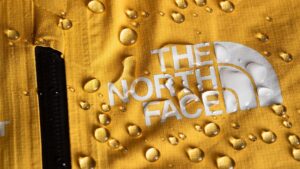 Engaged Capital Gains Support of VF Heirs to Shake Up North Face Owner