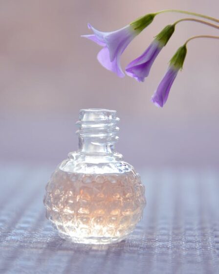 Purple Flower Near a Clear Round Bottle