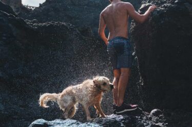 soaked man and his dog standing on a rock