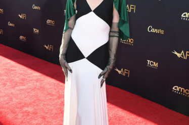 Celebrities at the Nicole Kidman AFI Lifetime Achievement Award Gala Tribute