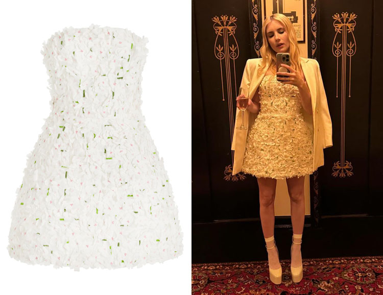 Emma Roberts' Monique Lhuillier Floral-Embroidered Mini Dress