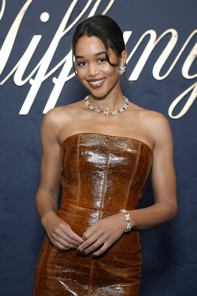 Laura Harrier attends the Tiffany & Co. Celebration of the launch of Blue Book 2024: Tiffany Céleste