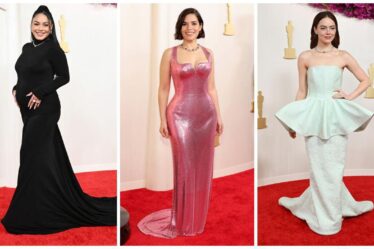 Red carpet looks at the 2024 Academy Awards