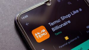 Temu Likely to Face Tougher Online Content Rules as EU Users Soar