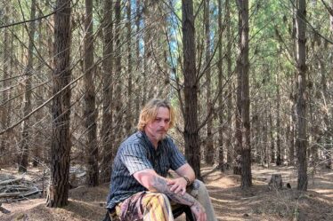 man sitting on a tree stump in a forest