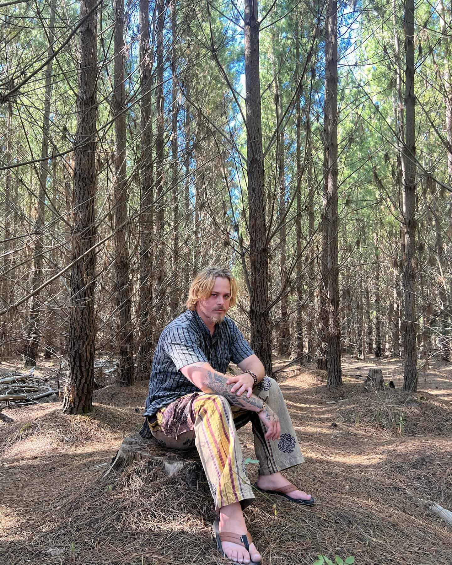 man sitting on a tree stump in a forest