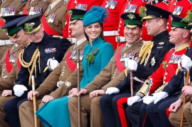 Image may contain Prince William Duke of Cambridge Clothing Glove Hat Military Footwear Shoe Officer and Person