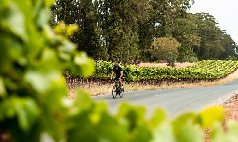 A figure wearing black cycles on a grey road amongst greenery. There is blurry greenery on the left in the foreground and the backdrop is a green vineyard and green trees.