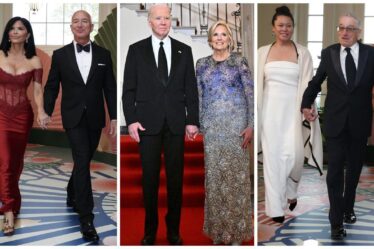 What Guests Wore to the State Dinner at the White House