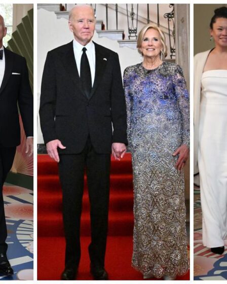 What Guests Wore to the State Dinner at the White House