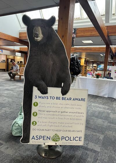 The bear that welcomed Imran Amed to Aspen.