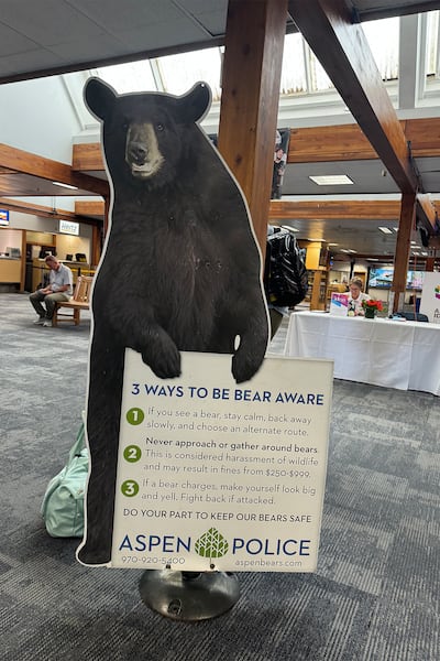 The bear that welcomed Imran Amed to Aspen.