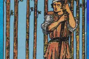 nine of wands