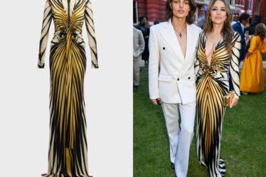 Elizabeth Hurley's Roberto Cavalli Long Printed Knot-Front Gown