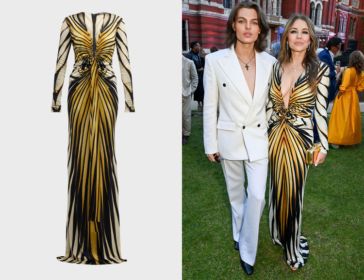 Elizabeth Hurley's Roberto Cavalli Long Printed Knot-Front Gown