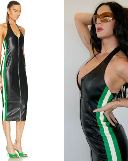 Katy Perry's Miaou Harlow Faux Leather Dress