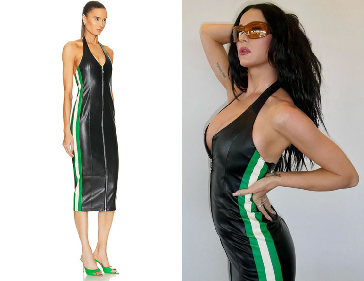 Katy Perry's Miaou Harlow Faux Leather Dress