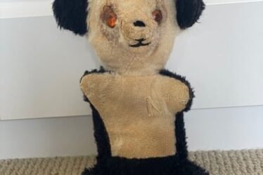 ‘Pandy’, the teddy bear that has been with Melissa Doyle since the day she was born