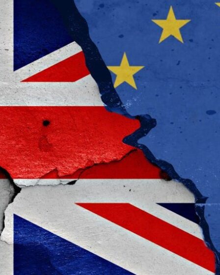 UK Clothing Sales to EU Plummet as Brexit Red Tape Deters Exporters