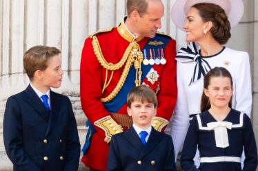 Image may contain Prince William Duke of Cambridge Person Child Teen Accessories Formal Wear Tie Officer and People