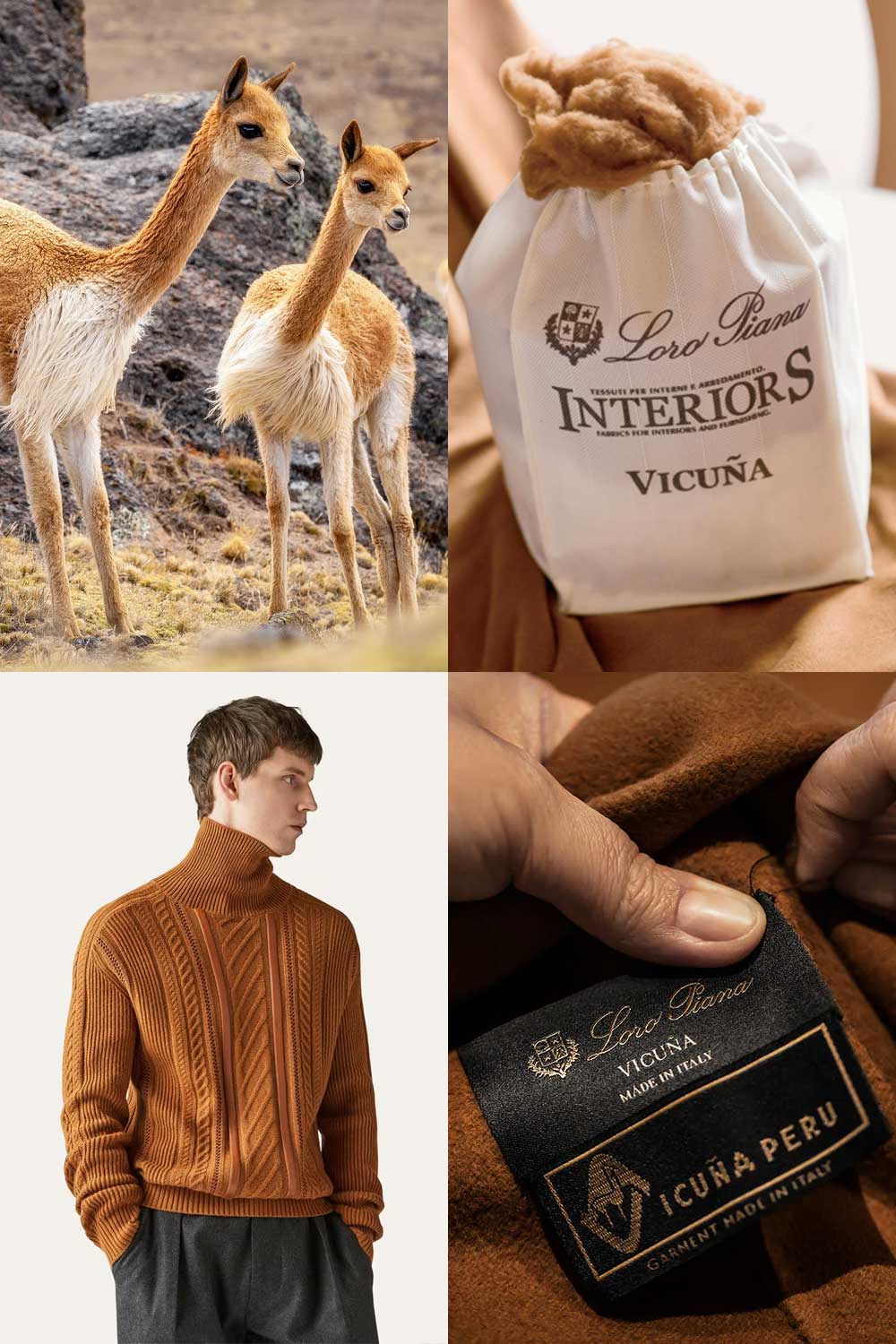 Loro Piana Vicuña