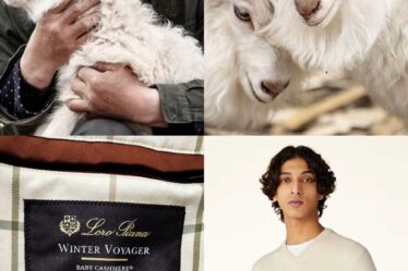 Loro Piana Hircus goat Baby Cashmere wool