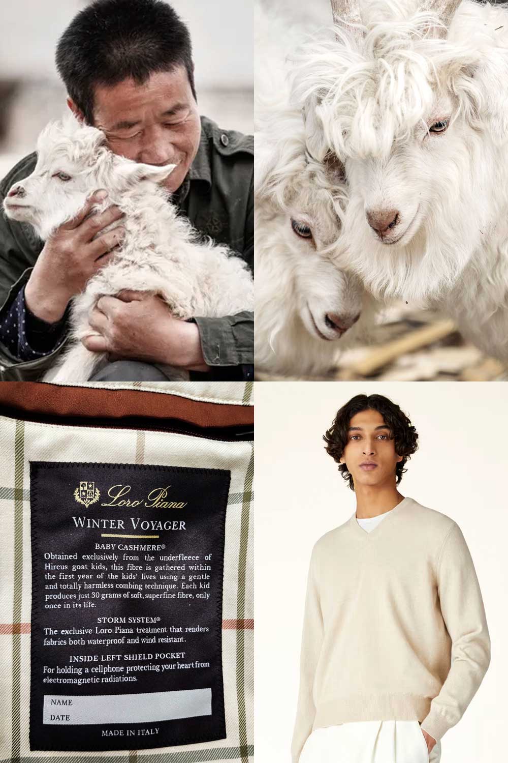 Loro Piana Hircus goat Baby Cashmere wool