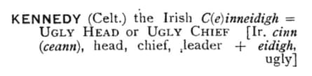 KENNEDY ( Celt . ) the_Irish_C ( e ) inneidigh UGLY HEAD or UGLY CHIEF [ Ir . cinn ( ceann )