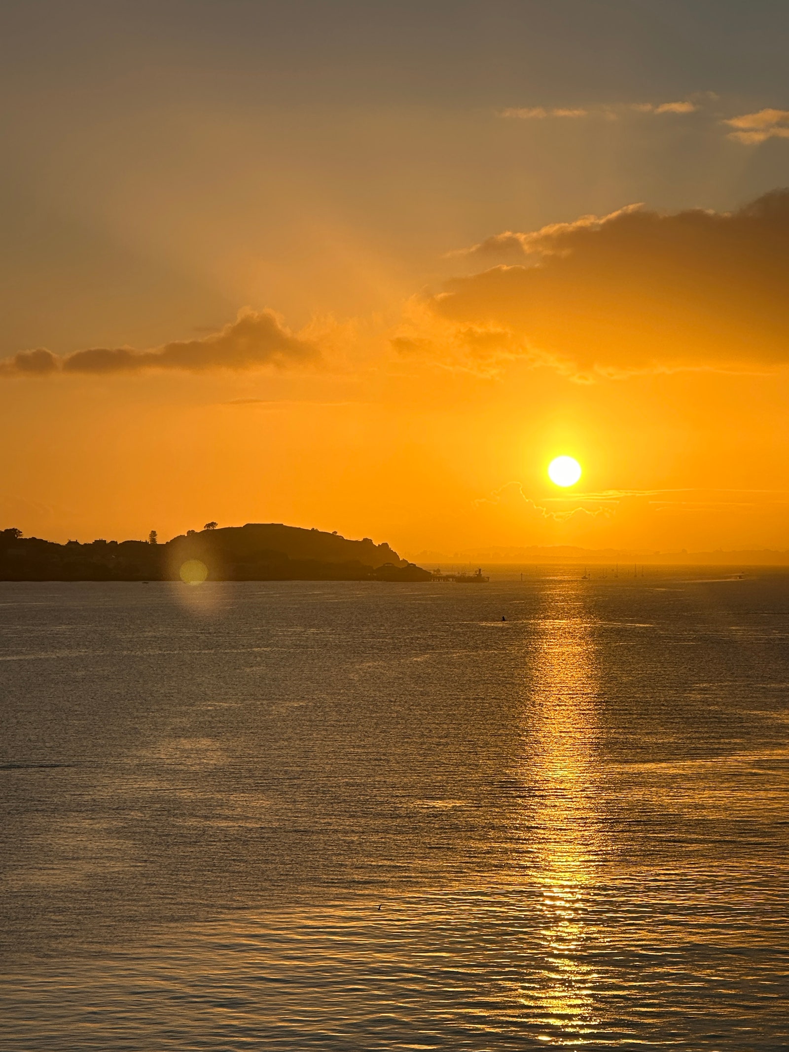 Auckland New Zealand Nature Outdoors Sky Sun Sunrise