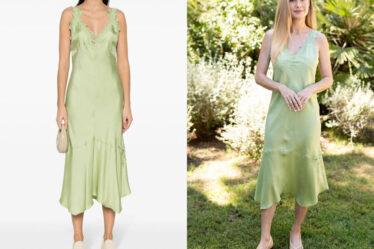 Brie Larson's Dorothee Schumacher Lace-Appliqué Camisole Silk Dress