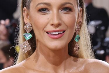 Image may contain Blake Lively Head Person Face Braid Hair Adult and Wedding