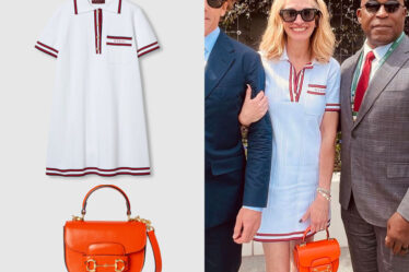 Julia Roberts' Gucci Polo Dress & Gucci Horsebit 1955 Mini Bag