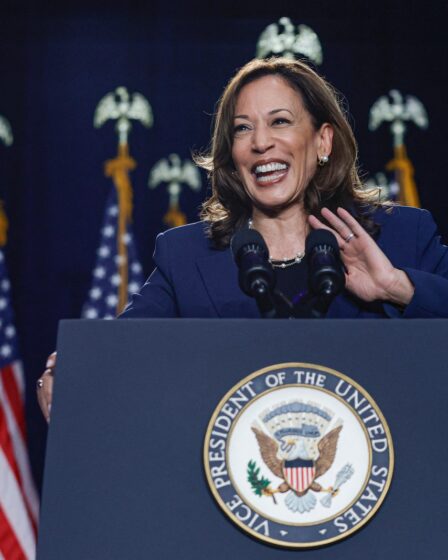 Image may contain Kamala Harris Crowd Person People Electrical Device Microphone Adult Accessories and Jewelry