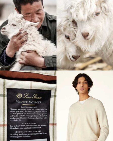 Loro Piana Hircus goat Baby Cashmere wool