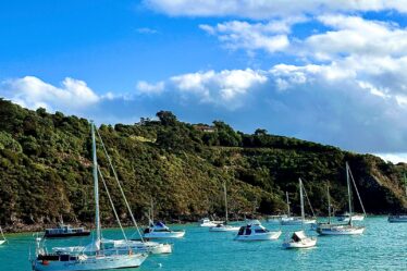 Waiheke Island boats water grass hills landscape