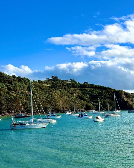 Waiheke Island boats water grass hills landscape