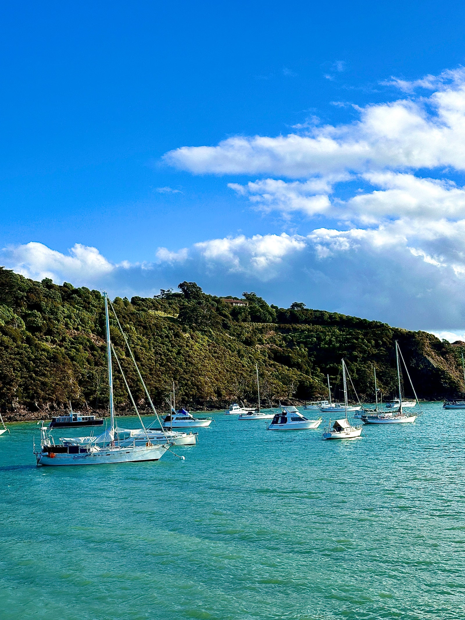 Waiheke Island boats water grass hills landscape