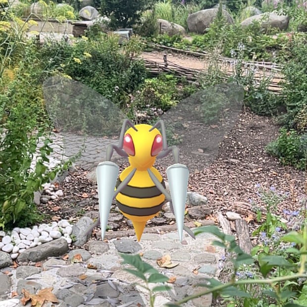 Pokémon Go screenshot of Beedrill